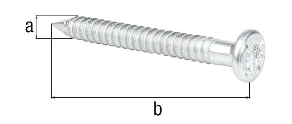 Alberts Ankernagel, verzinkt, Ø4 mm, Län Alberts Ankernagel, verzinkt, Ø4 mm, Länge 50 mm, in Hängebox, verpackt à 50 St.