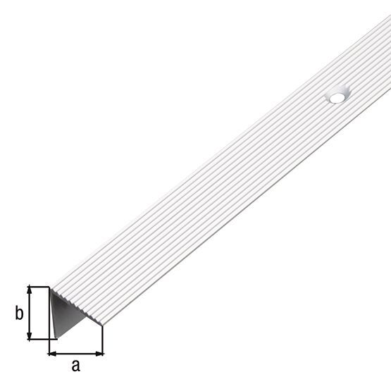 Alberts Treppenkanten-Schutzprofil, Alu silber elox., LxBxHxS 1000x21x21x1, 8mm Produktbild Alberts Treppenkanten-Schutzprofil, Alu silber elox., LxBxHxS 1000x21x21x1, 8mm