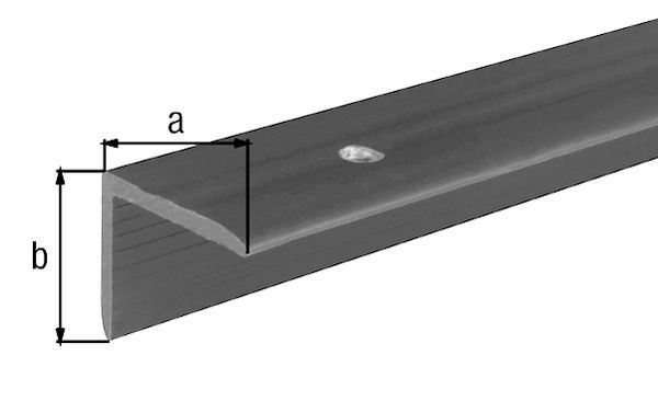Alberts Treppenkanten-Schutzprofil, Kst., schwarz, LxBxHxS 1000x25x20x2,0mm Produktbild Alberts Treppenkanten-Schutzprofil, Kst., schwarz, LxBxHxS 1000x25x20x2,0mm