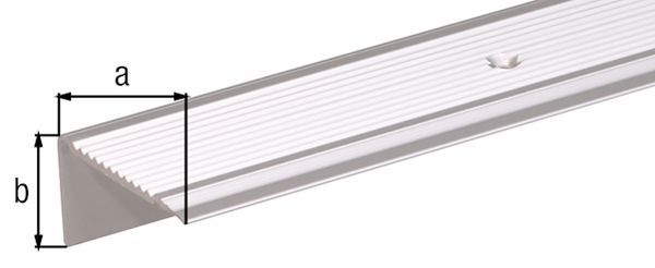 Alberts Treppenkanten-Schutzprofil, Alu silber elox., LxBxHxS 1000x45x23x2, 7mm Produktbild Alberts Treppenkanten-Schutzprofil, Alu silber elox., LxBxHxS 1000x45x23x2, 7mm