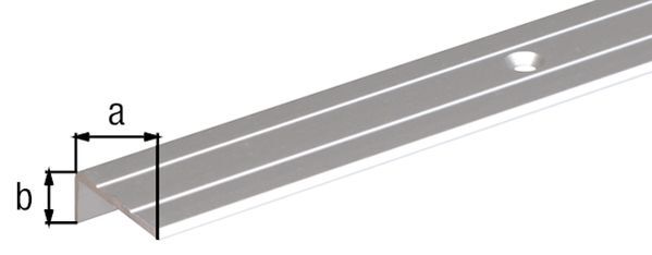 Alberts Treppenkanten-Schutzprofil,gebohrt, Alu silber elox.,LxBxHxS 1000x24,5x20x1,5mm Produktbild Alberts Treppenkanten-Schutzprofil,gebohrt, Alu silber elox.,LxBxHxS 1000x24,5x20x1,5mm