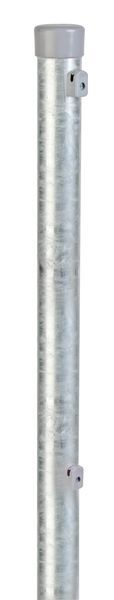 Alberts Zaunpfosten feuerverzinkt 2250mm Pfostenstärke 42mm Geflechthöhe 1750mm Alberts Zaunpfosten feuerverzinkt 2250mm Pfostenstärke 42mm Geflechthöhe 1750mm