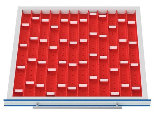 Bedrunka+Hirth Schubladeneinteilung R 24-24 mit Muldensortiment für TSM-Schrank Fronthöhe 50 mm Produktbild Bedrunka+Hirth Schubladeneinteilung R 24-24 mit Muldensortiment für TSM-Schrank Fronthöhe 50 mm