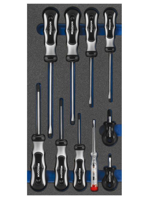 Bedrunka+Hirth Werkzeugeinsatz Schraubendreher Satz 10 teilig BxTxH 400 x 200 x 25 mm Produktbild Bedrunka+Hirth Werkzeugeinsatz Schraubendreher Satz 10 teilig BxTxH 400 x 200 x 25 mm