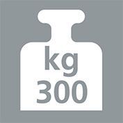 Bedrunka+Hirth workergo Grundgestell C Fuß 2 Motoren 1250 x 750 mm RAL 7035 5012 Produktbild Bedrunka+Hirth workergo Grundgestell C Fuß 2 Motoren 1250 x 750 mm RAL 7035 5012 bild 3