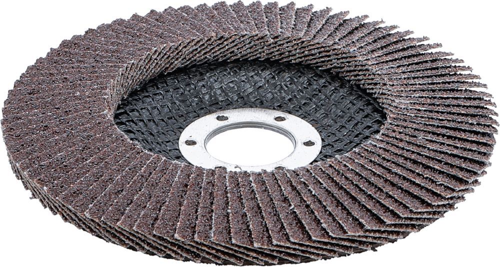 Produktbild Fächer Schleif Scheibe Durchmesser 125 mm K 40 bild 2