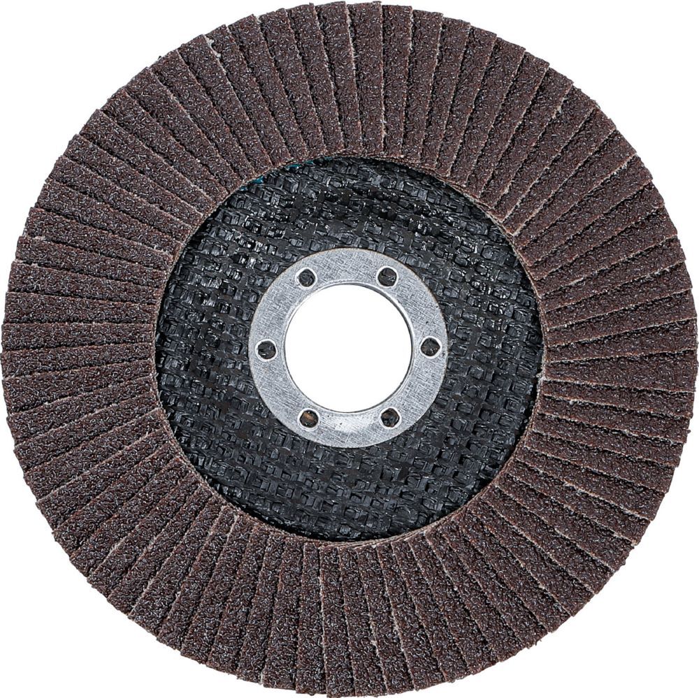 Produktbild BGS Fächer Schleif Scheibe Durchmesser 125 mm K 80