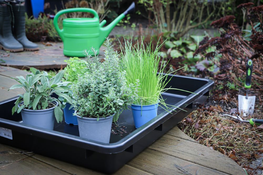 Produktbild Mehrzweckwanne mit Ausgießer schwarz 50 Liter bild 2