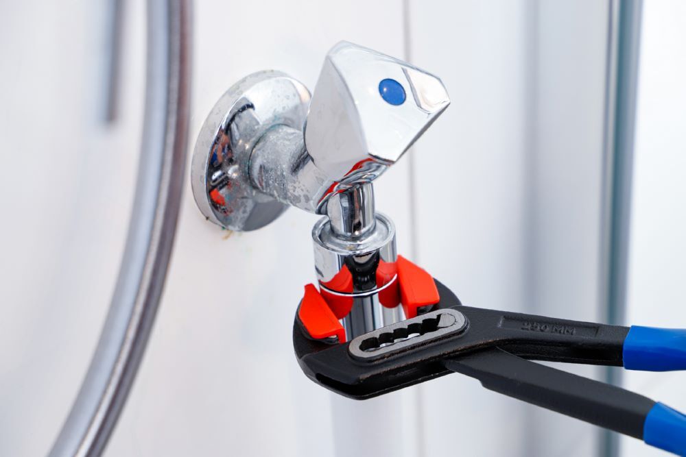 Produktbild Wasserpumpenzange mit adaptierbaren Schonbacken 240 mm bild 2