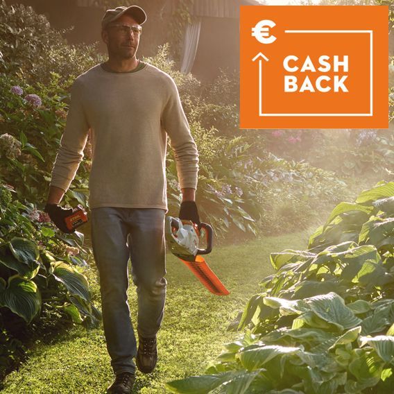 Mann mit einer Stihl Kettensäge in der Hand läuft durch einen sonnenbeschienene Garten