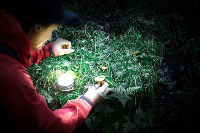 Brennenstuhl Akku LED Outdoor Leuchte Oli 0300 A Campingleuchte mit USB Produktbild Brennenstuhl Akku LED Outdoor Leuchte Oli 0300 A Campingleuchte mit USB bild 19