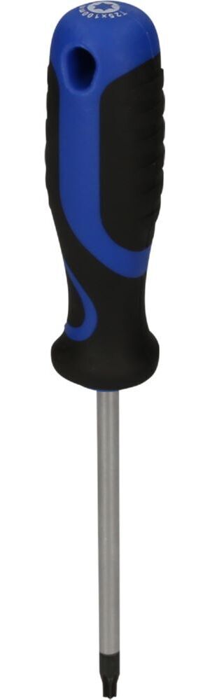 Produktbild Brilliant Tools Schraubendreher TORX T25