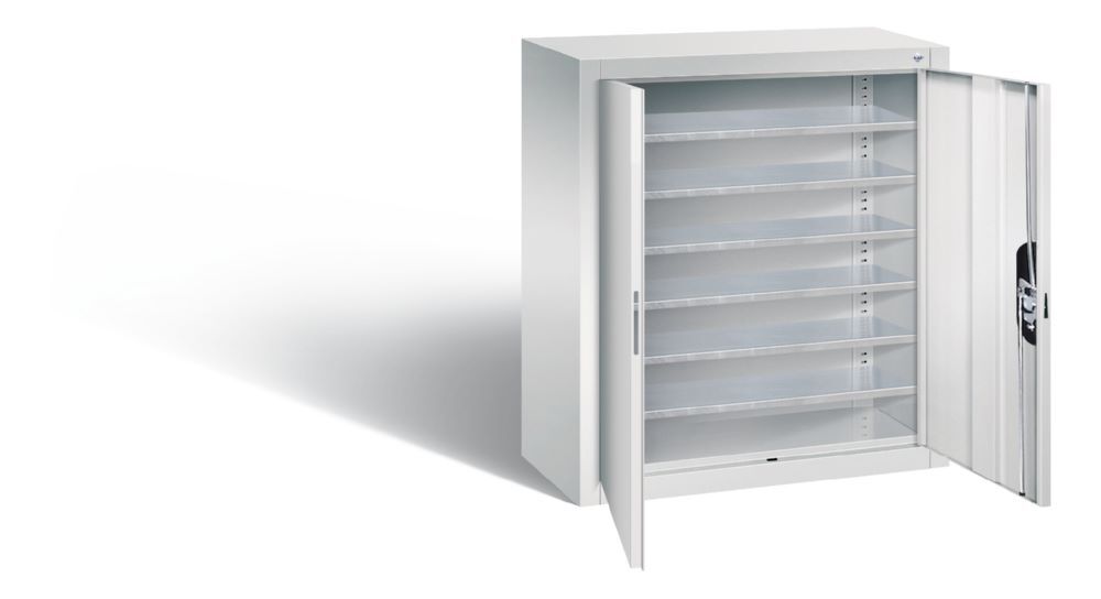 C+P Magazinschrank Türen in lichtgrau 700 x 300 x 830 mm C+P Magazinschrank Türen in lichtgrau 700 x 300 x 830 mm
