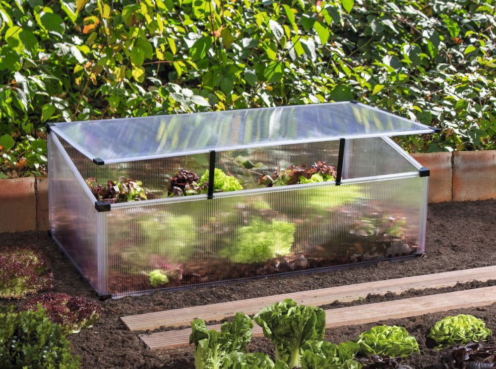 Pergart Frühbeet Feronia Maße 1040 x 560 mm Produktbild Pergart Frühbeet Feronia Maße 1040 x 560 mm bild 2