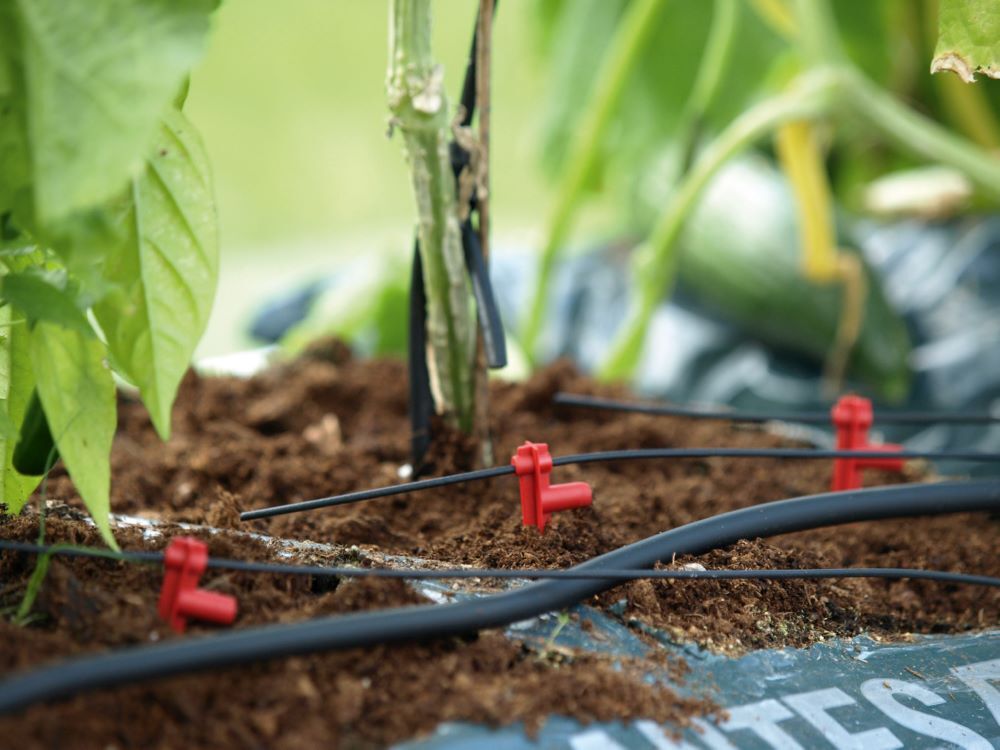 Vitavia Hydromat Ergänzungs Set Produktbild Vitavia Hydromat Ergänzungs Set