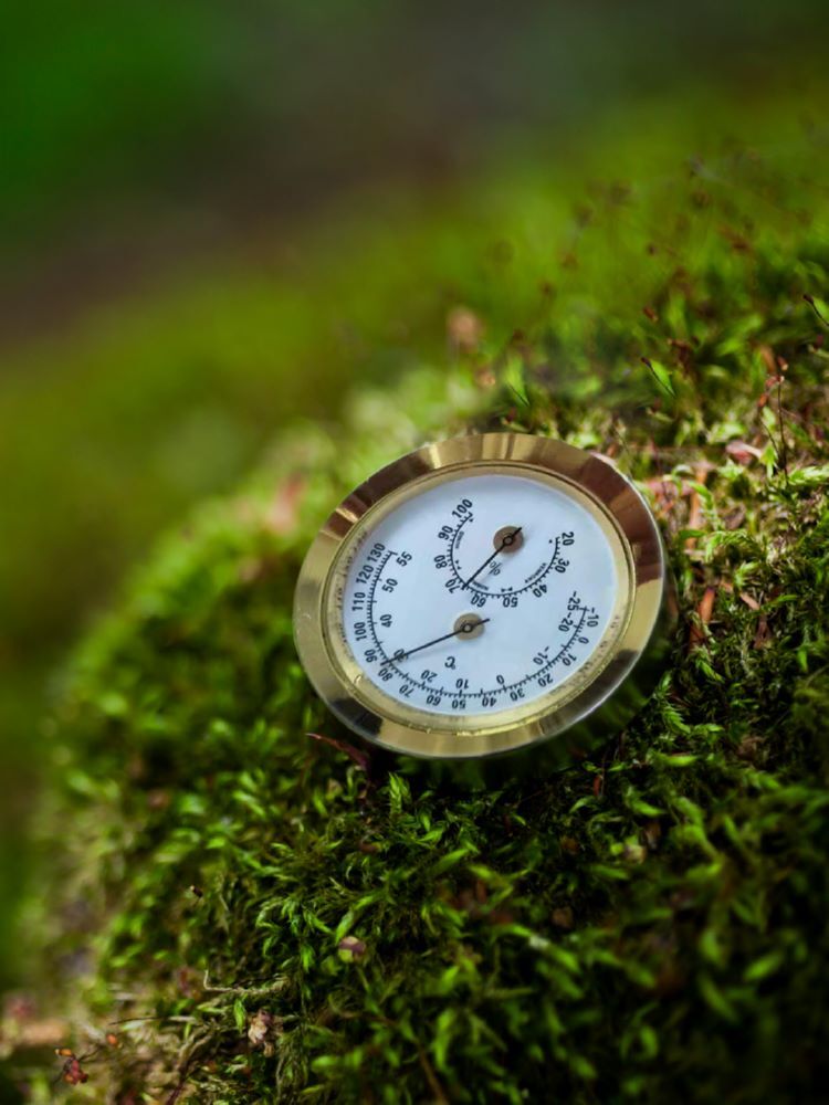 Pergart Hygrometer Produktbild Pergart Hygrometer bild 2