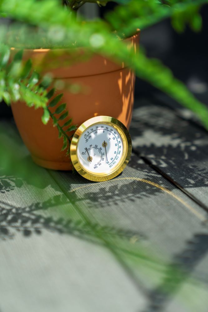 Pergart Hygrometer Produktbild Pergart Hygrometer