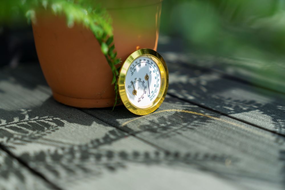 Pergart Hygrometer Produktbild Pergart Hygrometer bild 3