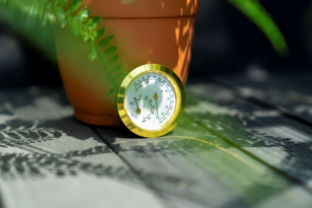 Pergart Hygrometer Produktbild Pergart Hygrometer bild 4