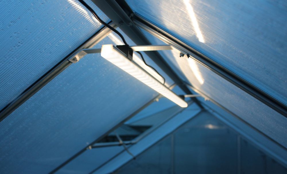 Vitavia Gewächshaus Set Jupiter 8300 ESG 3 mm 2570 x 3210 mm Produktbild Vitavia Gewächshaus Set Jupiter 8300 ESG 3 mm 2570 x 3210 mm bild 3