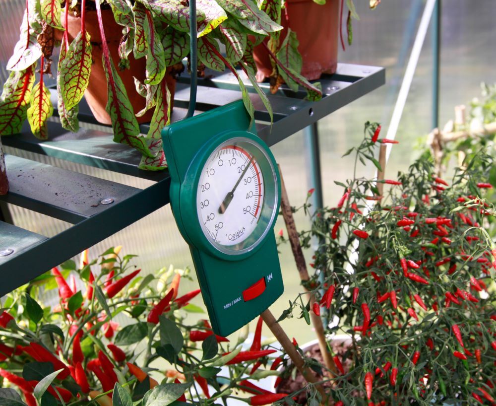 Vitavia Min Max Thermometer für Gewächshaus Produktbild Vitavia Min Max Thermometer für Gewächshaus bild 2