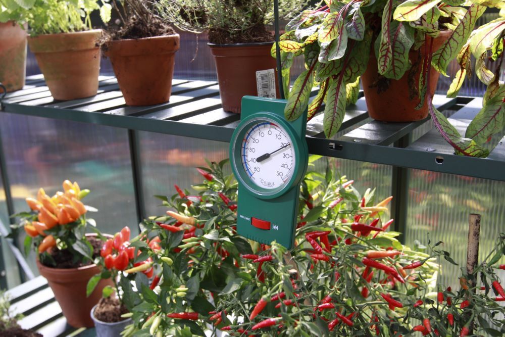 Vitavia Min Max Thermometer für Gewächshaus Produktbild Vitavia Min Max Thermometer für Gewächshaus bild 3