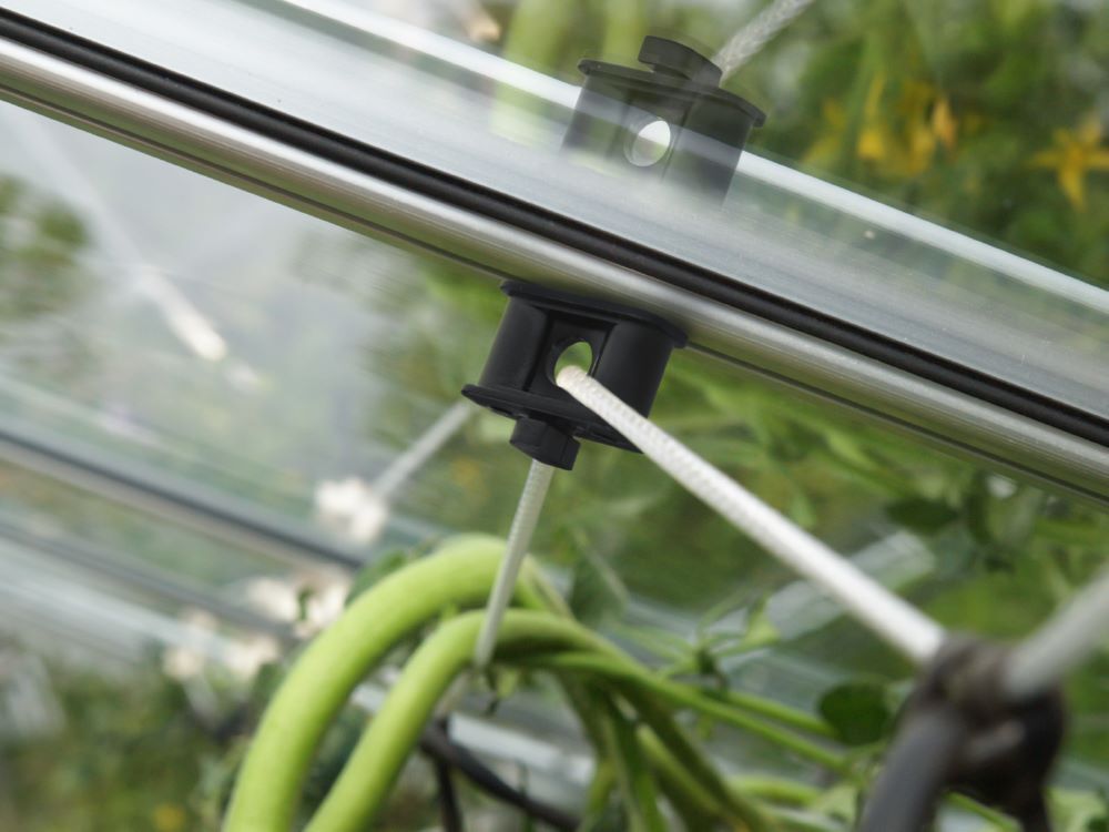 Vitavia Pflanzenhalter schwarz 10 Stück Produktbild Vitavia Pflanzenhalter schwarz 10 Stück bild 2