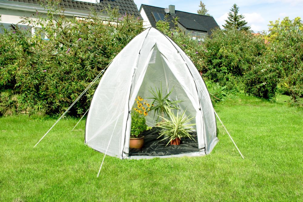 Pergart Pflanzenzelt Hawaii L 2400 x 2400 mm Produktbild Pergart Pflanzenzelt Hawaii L 2400 x 2400 mm