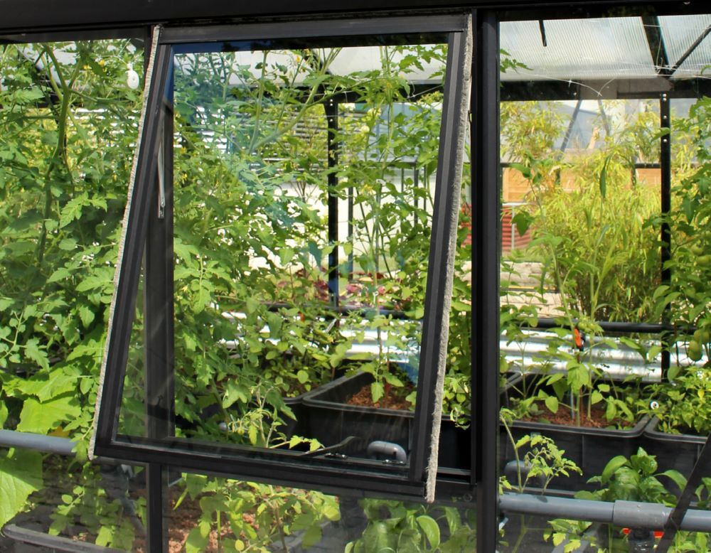 Vitavia Seitenfenster H mit ESG schwarz Länge 876 x 554 mm Produktbild Vitavia Seitenfenster H mit ESG schwarz Länge 876 x 554 mm
