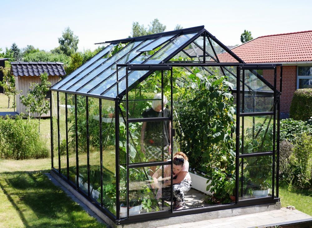 Vitavia Gewächshaus Uranus 9900 ESG 3 mm schwarz Produktbild Vitavia Gewächshaus Uranus 9900 ESG 3 mm schwarz bild 3