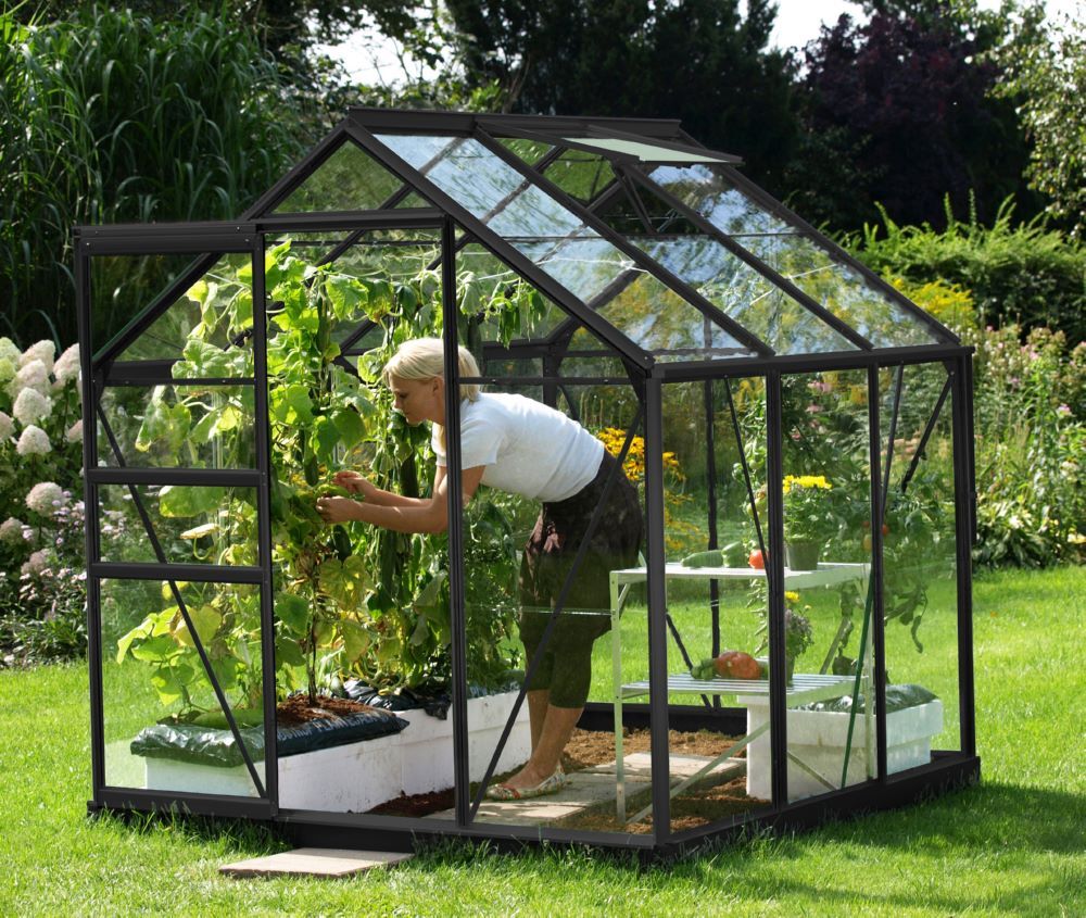 Vitavia Gewächshaus Venus 3800 schwarz 1950 x 1950 mm Produktbild Vitavia Gewächshaus Venus 3800 schwarz 1950 x 1950 mm