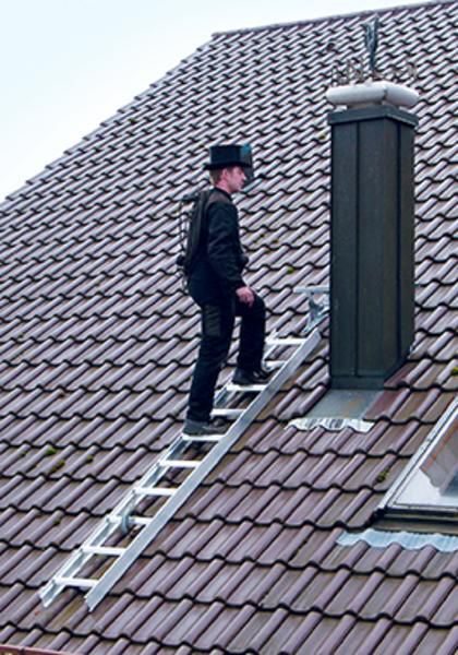 Günzburger Dachleiter mit 7 Sprossen Rot Produktbild Günzburger Dachleiter mit 7 Sprossen Rot