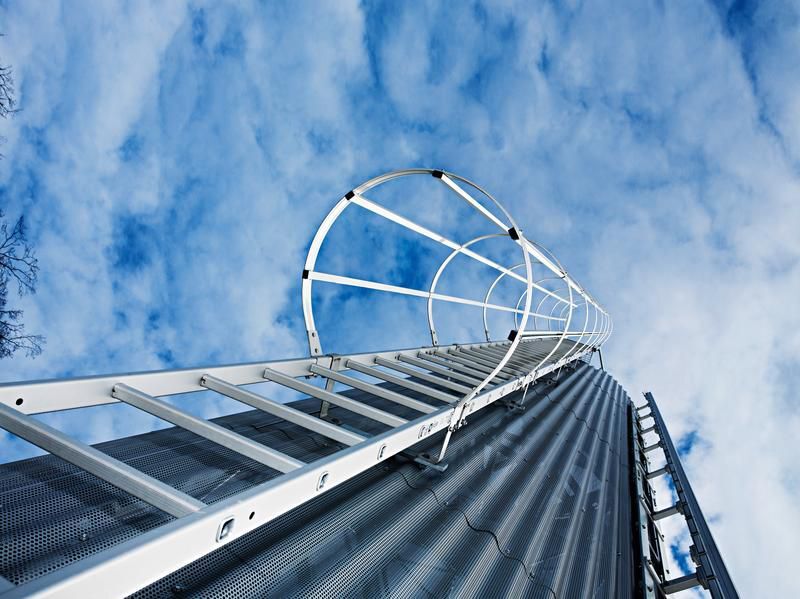 Günzburger Einzügige Steigleiter mit Rückenschutz Steighöhe 5,60 Meter Alu blank Produktbild Günzburger Einzügige Steigleiter mit Rückenschutz Steighöhe 5,60 Meter Alu blank