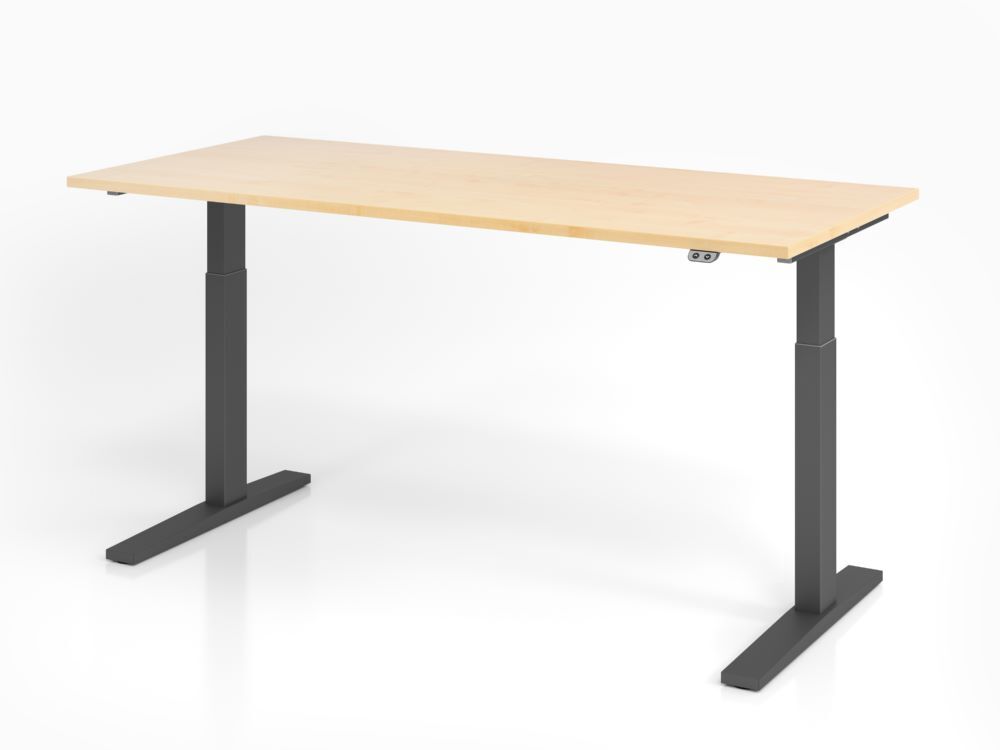 Hammerbacher Sitz Steh Schreibtisch C-Fuß Gestell in Graphit 180 x 80 cm Ahorn Produktbild Hammerbacher Sitz Steh Schreibtisch C-Fuß Gestell in Graphit 180 x 80 cm Ahorn