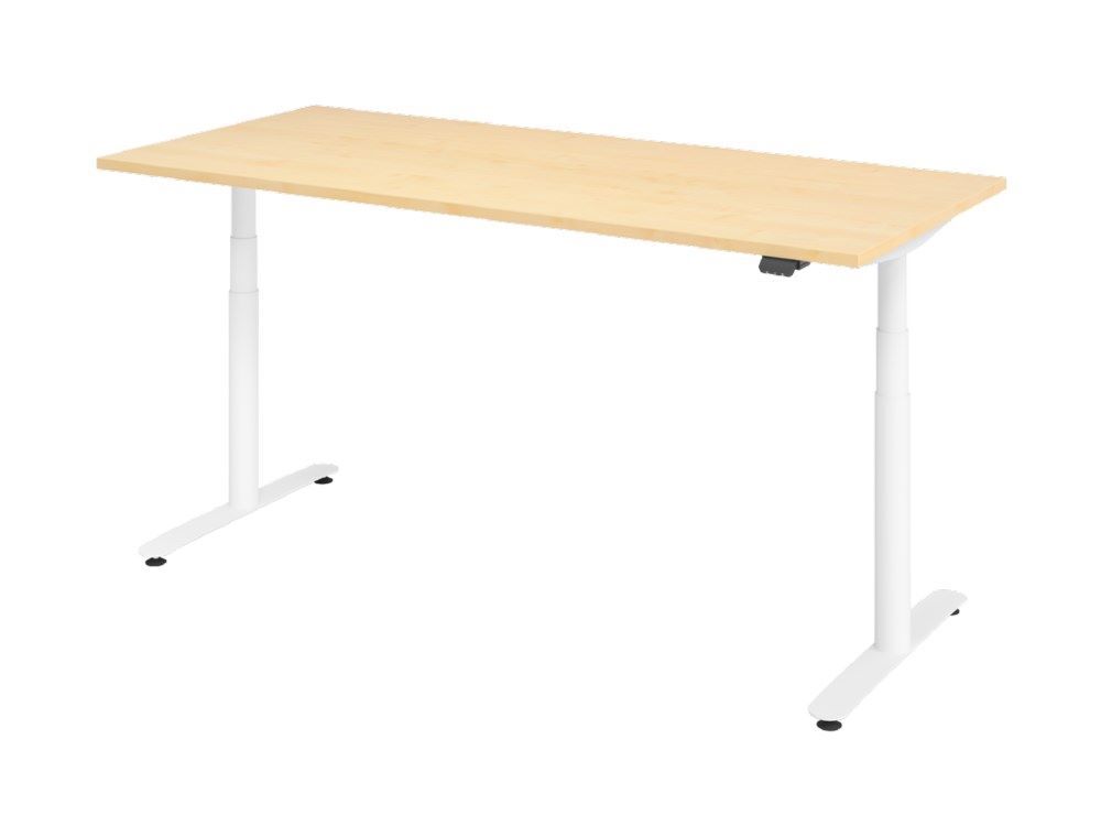 Hammerbacher XDLR19 Sitz-Steh-Schreibtisch 180 x 80 cm Ahorn T-Fuß in Weiß Produktbild Hammerbacher XDLR19 Sitz-Steh-Schreibtisch 180 x 80 cm Ahorn T-Fuß in Weiß