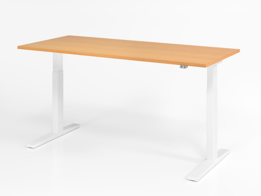 Hammerbacher Sitz-Steh-Schreibtisch 180 x 80 cm Buche Platte 25 mm C-Fuß Gestell in Weiß Produktbild Hammerbacher Sitz-Steh-Schreibtisch 180 x 80 cm Buche Platte 25 mm C-Fuß Gestell in Weiß