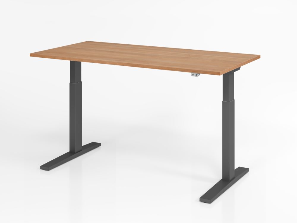 Hammerbacher Sitz-Steh XMKA16 Schreibtisch Elektroantrieb 1-stufig 160 x 80 cm Nussbaum Produktbild Hammerbacher Sitz-Steh XMKA16 Schreibtisch Elektroantrieb 1-stufig 160 x 80 cm Nussbaum