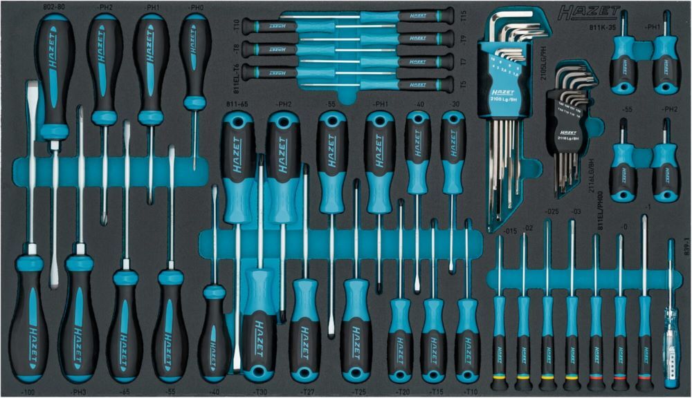 Hazet Schraubendreher Satz 163-480/57N Schlitz Kreuzschlitz Torx PH00-PH3 T5-T40 Produktbild Hazet Schraubendreher Satz 163-480/57N Schlitz Kreuzschlitz Torx PH00-PH3 T5-T40