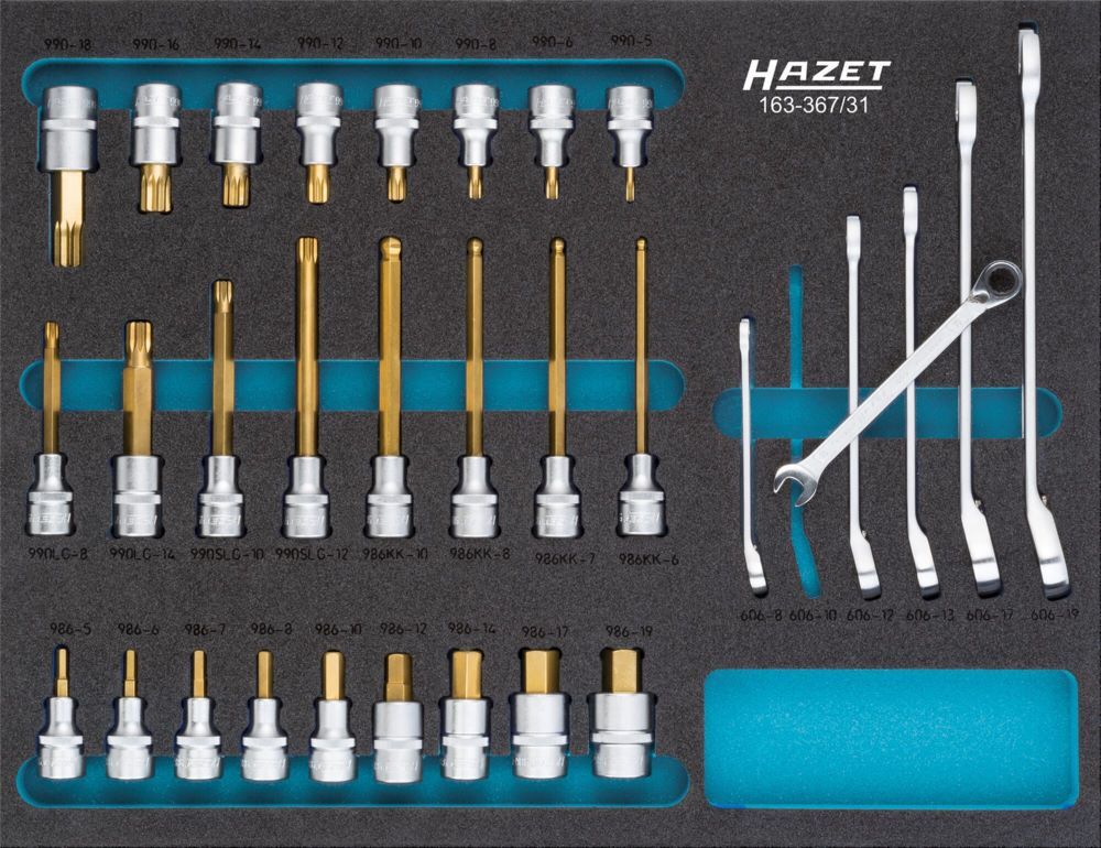 Hazet Schraubendreher Steckschlüsseleinsatz Satz 163-367/31 mit -19 M5-M18 Produktbild Hazet Schraubendreher Steckschlüsseleinsatz Satz 163-367/31 mit -19 M5-M18