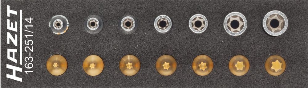 Hazet Werkzeug Satz Torx 163-251/14 1/4 Zoll Vierkant E4-E11 T10-T40 Produktbild Hazet Werkzeug Satz Torx 163-251/14 1/4 Zoll Vierkant E4-E11 T10-T40