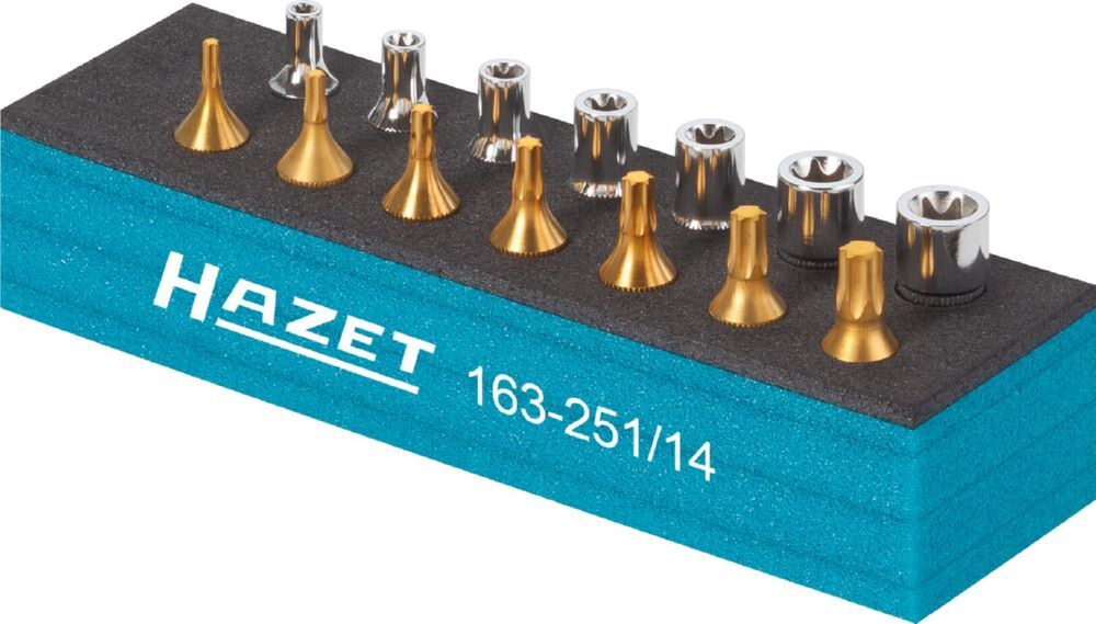Hazet Werkzeug Satz Torx 163-251/14 1/4 Zoll Vierkant E4-E11 T10-T40 Produktbild Hazet Werkzeug Satz Torx 163-251/14 1/4 Zoll Vierkant E4-E11 T10-T40 bild 3