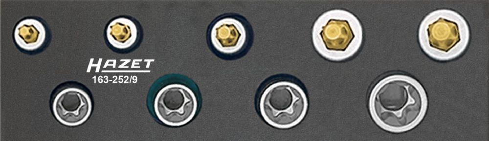Hazet Werkzeug Satz 3/8 Zoll 163-252/9 Vierkant Außen Torx Produktbild Hazet Werkzeug Satz 3/8 Zoll 163-252/9 Vierkant Außen Torx bild 2