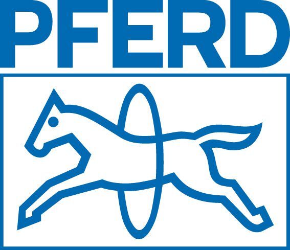 Pferd Ketten-Sägefeile 200X4 mm H3 Produktbild Pferd Ketten-Sägefeile 200X4 mm H3 bild 2