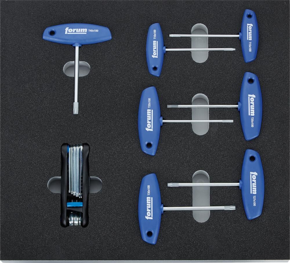 FORUM Werkzeugmodul 2017 leer 2/3 für Schraubendreher Torx mit Quergriff Produktbild FORUM Werkzeugmodul 2017 leer 2/3 für Schraubendreher Torx mit Quergriff