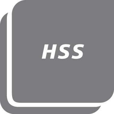 GFS Zapfensenker HSS Größe 2 38,0mm GFS Zapfensenker HSS Größe 2 38,0mm