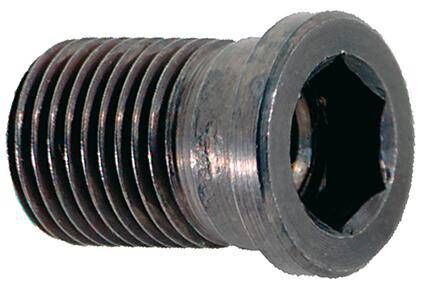 Produktbild Fortis Gewindebuchse G-70202