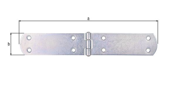 Alberts Kistenband galvanisch verzinkt LxB 250x40x2,5 mm Produktbild Alberts Kistenband galvanisch verzinkt LxB 250x40x2,5 mm