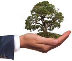 Cemo Umwelt