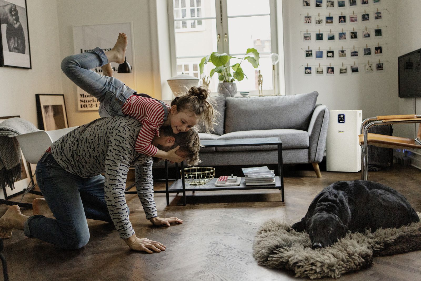 Kärcher Luftreiniger AF 50 Luftreiniger für 50 bis 65 m² Produktbild Kärcher Luftreiniger AF 50 Luftreiniger für 50 bis 65 m² bild 7