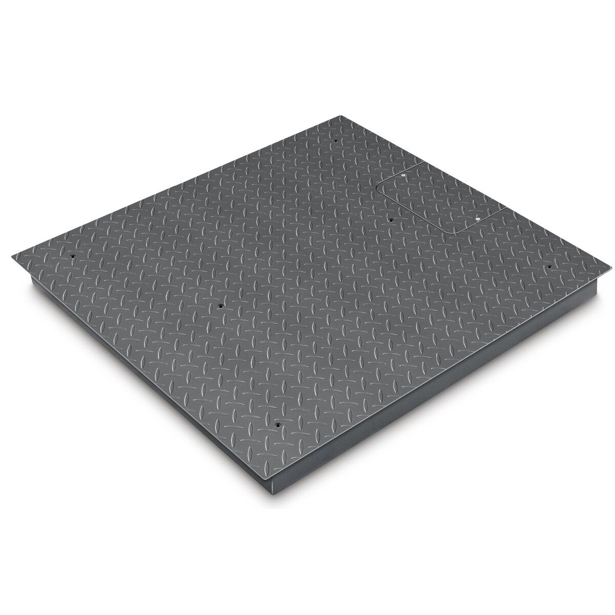 Kern Wägebrücke KIP 600V20M mit IP65 Produktbild Kern Wägebrücke KIP 600V20M mit IP65